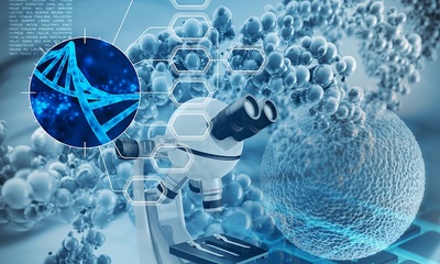 一?？苿摗胺N子”孕出一家“隱形冠軍”